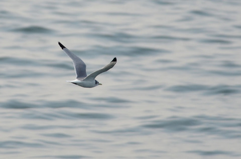 DSC_6029.jpg