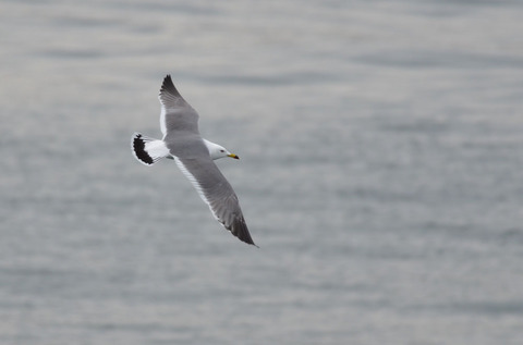 DSC_6063.jpg