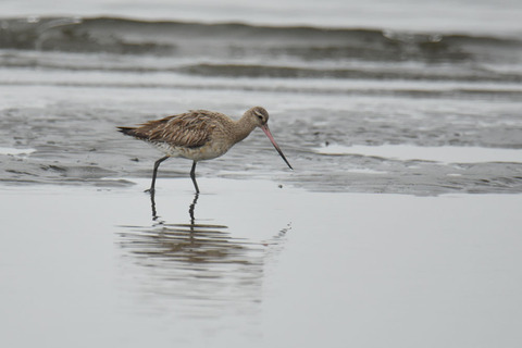 DSC_6066.jpg