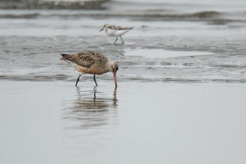 DSC_6075.jpg