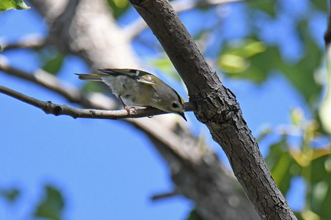 DSC_6088.jpg