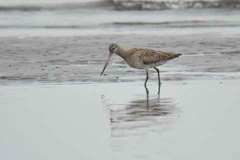 DSC_6095.jpg