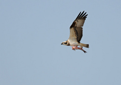 DSC_6168.jpg