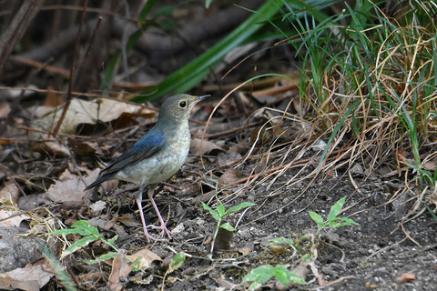 DSC_6206.jpg
