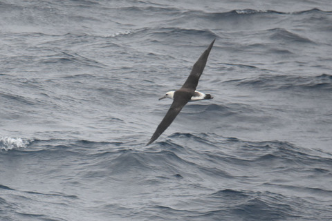DSC_6297.jpg