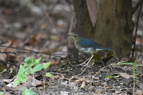 DSC_6300.jpg
