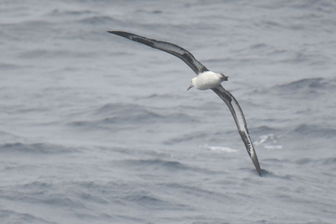 DSC_6302.jpg