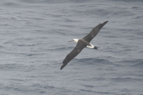 DSC_6306.jpg