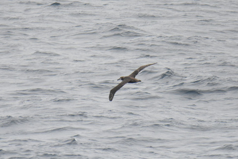 DSC_6360.jpg