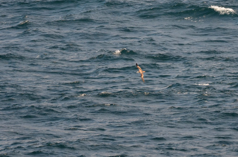 DSC_6370.jpg