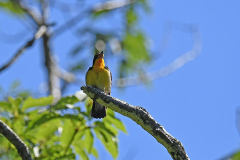 DSC_6389.jpg