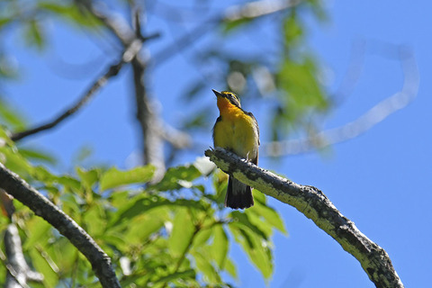 DSC_6403.jpg