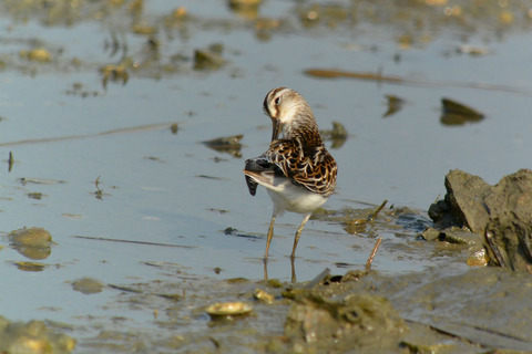 DSC_6455.jpg