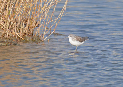 DSC_6458.jpg