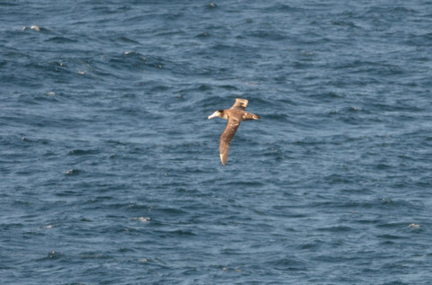 DSC_6473.jpg