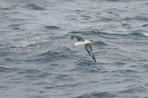 DSC_6480.jpg