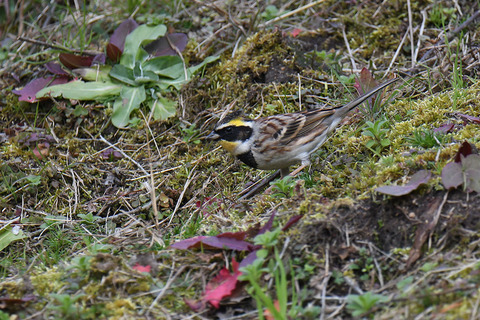 DSC_6512.jpg