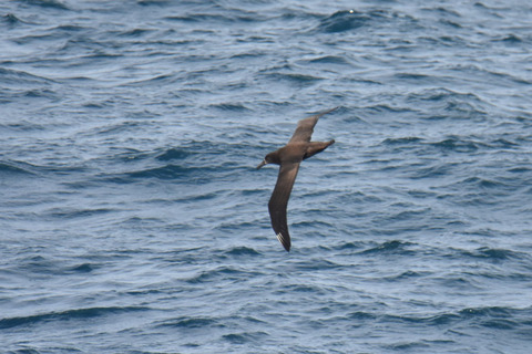 DSC_6528.jpg