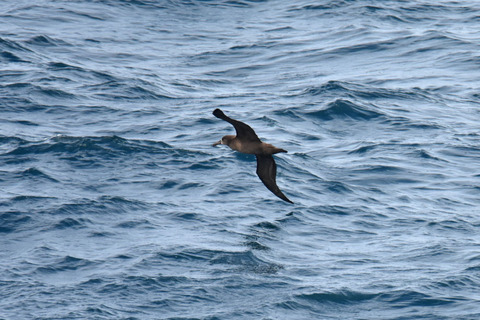 DSC_6534.jpg