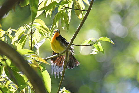 DSC_6582.jpg