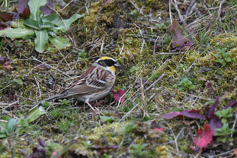 DSC_6588.jpg