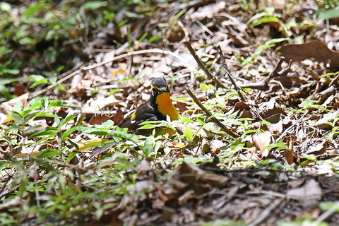 DSC_6641.jpg