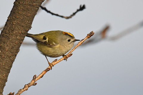 DSC_6700.jpg
