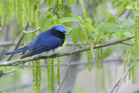 DSC_6705.jpg