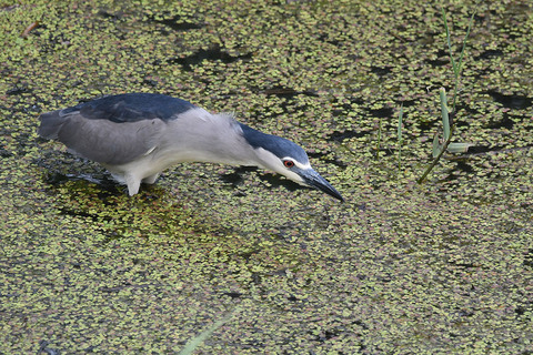 DSC_6738.jpg