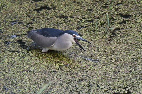 DSC_6751.jpg