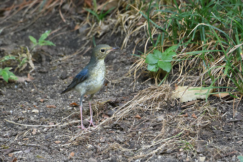 DSC_6758.jpg