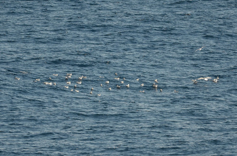 DSC_6763.jpg