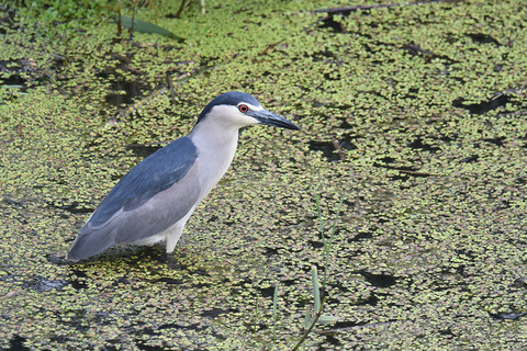 DSC_6764.jpg