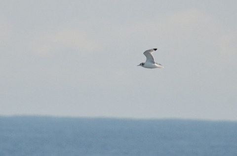 DSC_6777.jpg