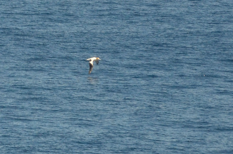 DSC_6820.jpg
