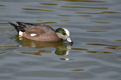 DSC_6832.jpg