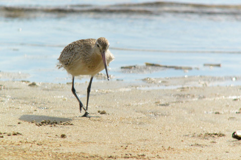 DSC_6832.jpg