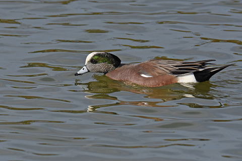 DSC_6845.jpg