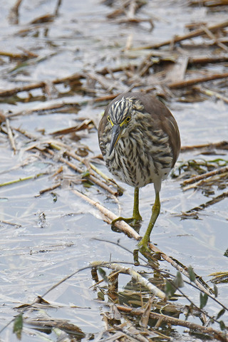 DSC_6855.jpg