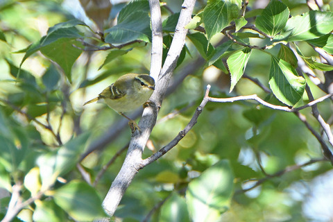 DSC_6861.jpg