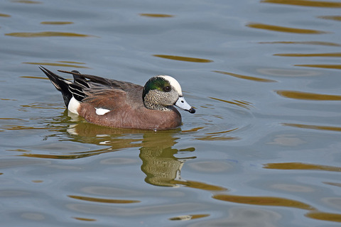 DSC_6867.jpg