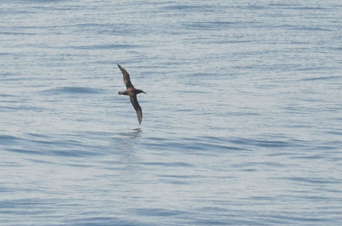 DSC_6878.jpg