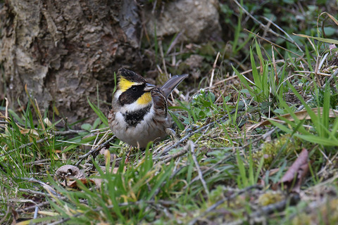 DSC_6880.jpg