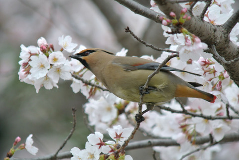 DSC_6881.jpg