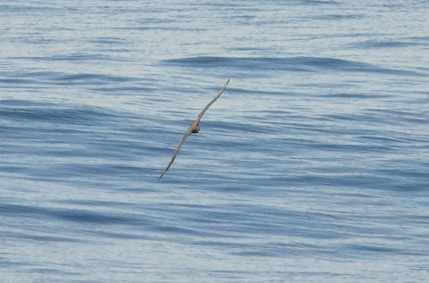 DSC_6885.jpg