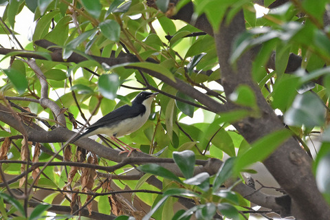 DSC_6889.jpg