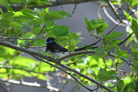 DSC_6890.jpg
