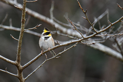 DSC_6929.jpg