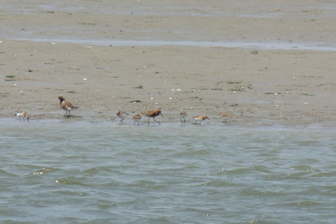 DSC_6940a.jpg