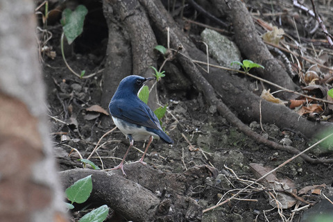DSC_6942.jpg